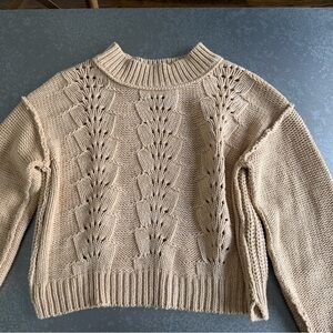 Free People Sweater Stunning!